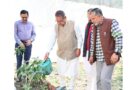 मंत्री गणेश जोशी ने अपने शासकीय आवास पर किया पौधरोपण