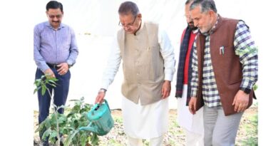 मंत्री गणेश जोशी ने अपने शासकीय आवास पर किया पौधरोपण