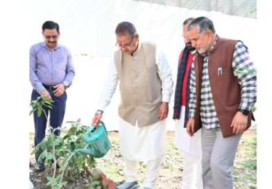 मंत्री गणेश जोशी ने अपने शासकीय आवास पर किया पौधरोपण