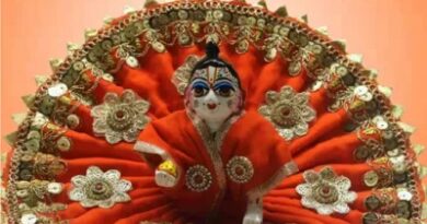 बाजार में मथुरा-वृंदावन शैली की पोशाकों और श्रृंगार सामग्री को लेकर श्रद्धालुओं में खासा उत्साह