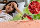 मच्छरों के काटने से सिर्फ डेंगू-मलेरिया ही नहीं, एनीमिया का भी बढ़ सकता है खतरा